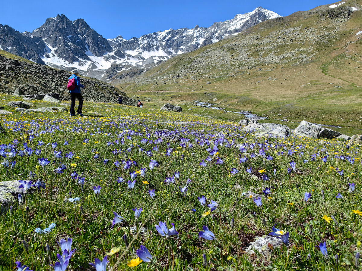 самые красивые места кисловодска