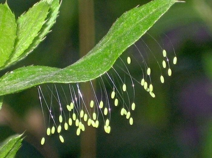 взято из открытых источников