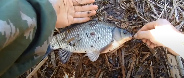 Мой трофей!