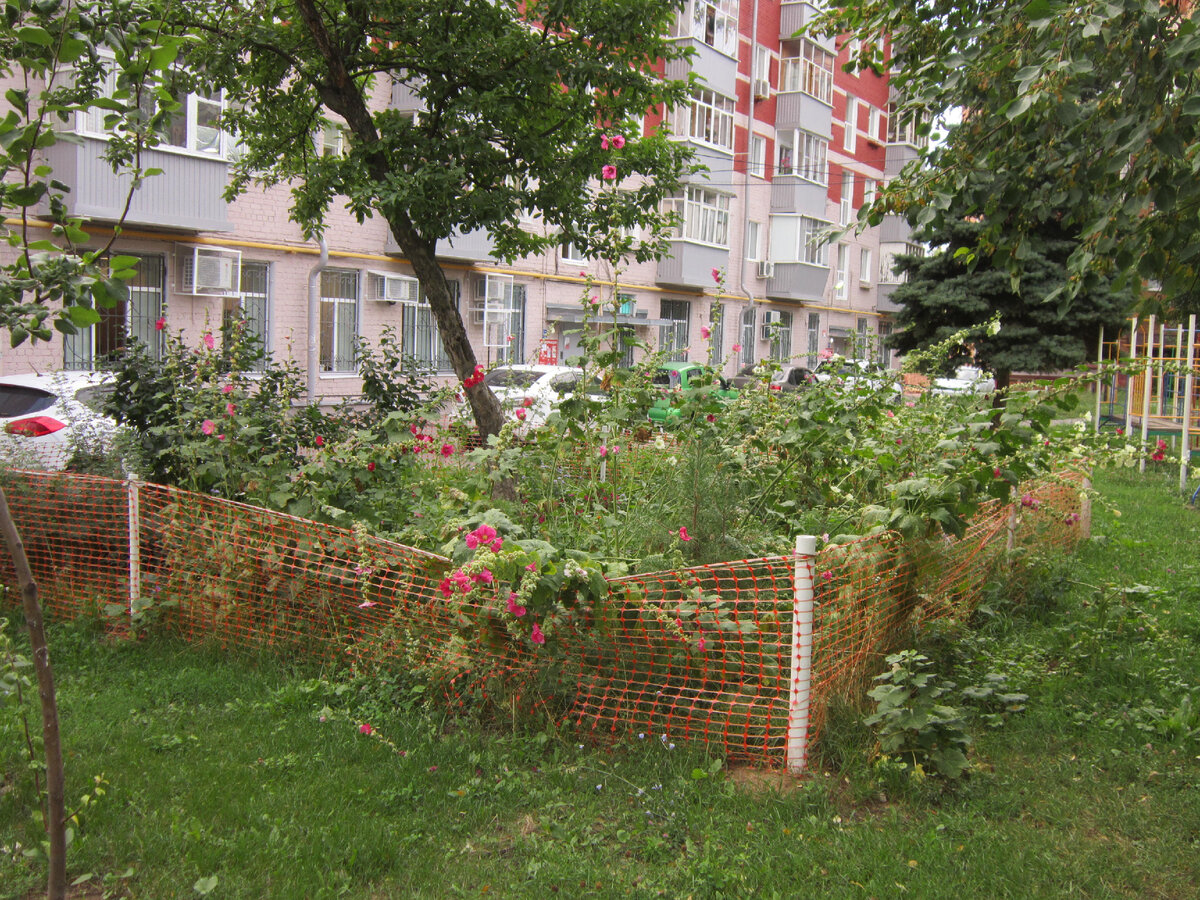 А мальву всё-таки видно. Дальше второй кадр