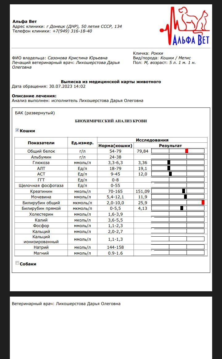 Здравствуйте. Вчера волонтер Кристина Сазонова получила результаты анализов крови Рокки. Честно, хозяйка домашнего мини-приюта вообще ничего не понимает.