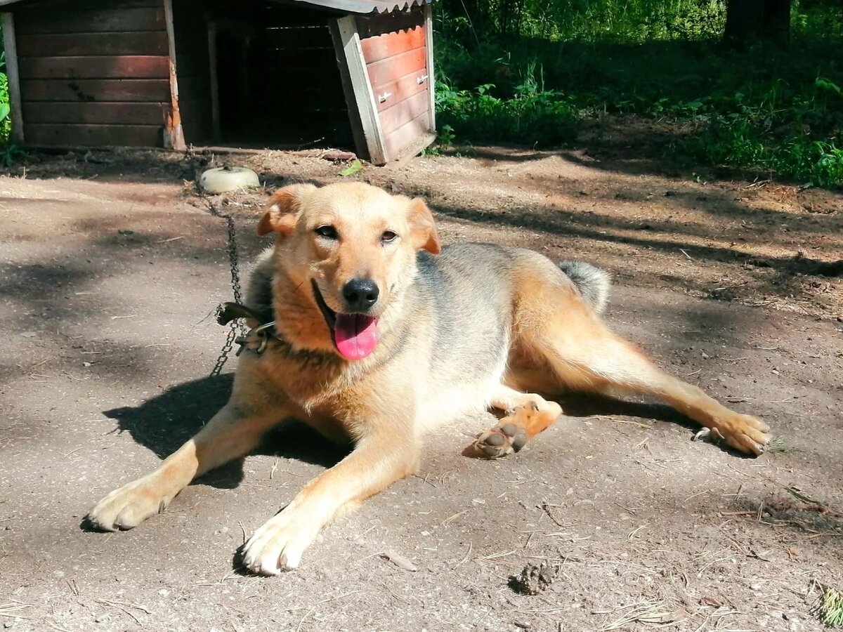 Это фото передаёт всю  суть Джесси)))