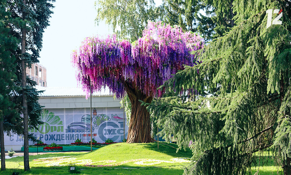 Она проходит в Выставочном и Воскресенском скверах.