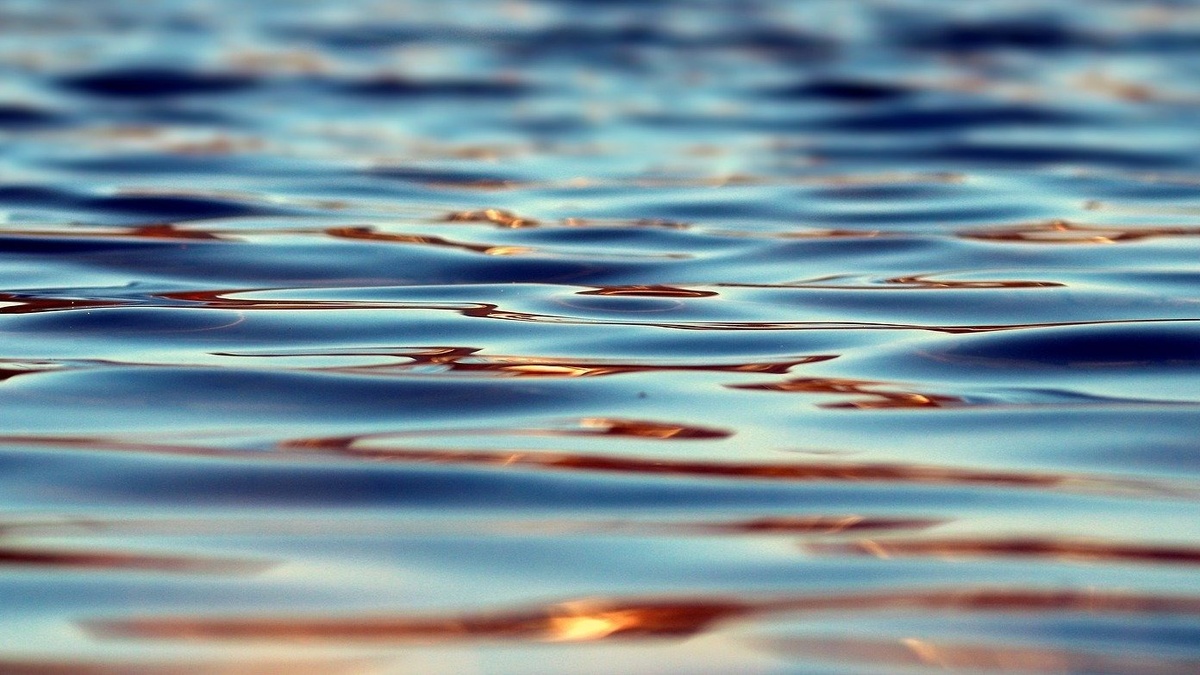     Мужчина помог отдыхающим выбраться из воды. Об этом сообщили в пресс-службе регионального МЧС.