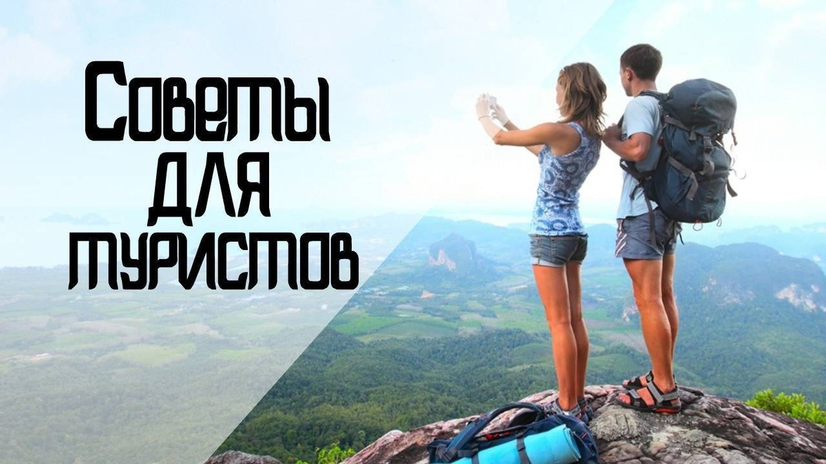 Источник Яндекс картинка