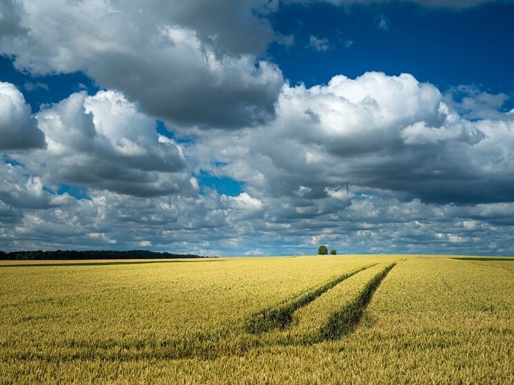     Фото: @wirestock / ru.freepik.com