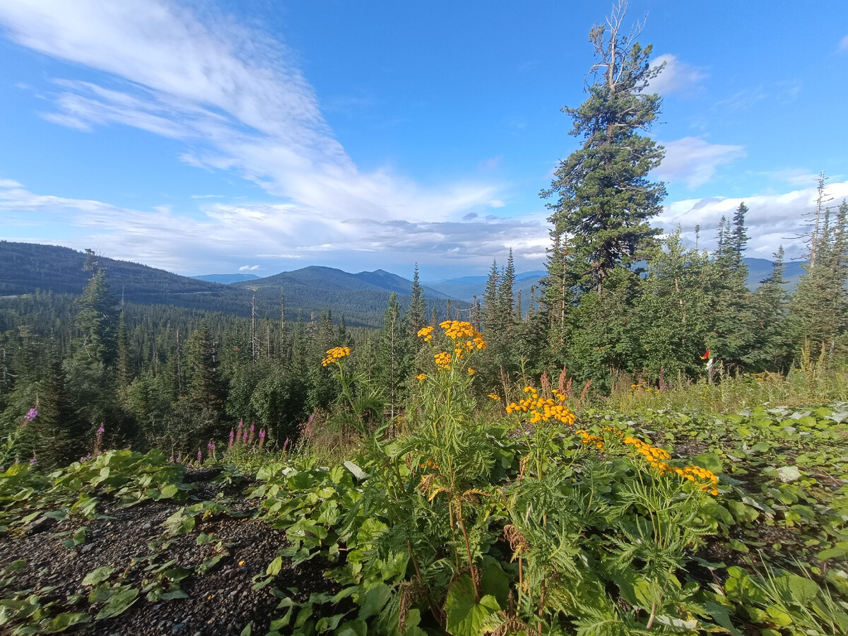 В этот день погода была к нам благосклонна. Яркое солнце, синее небо, голубые горы- красота необыкновенная.