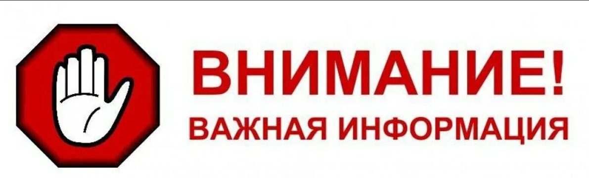 Фото взято с Яндекс картинок