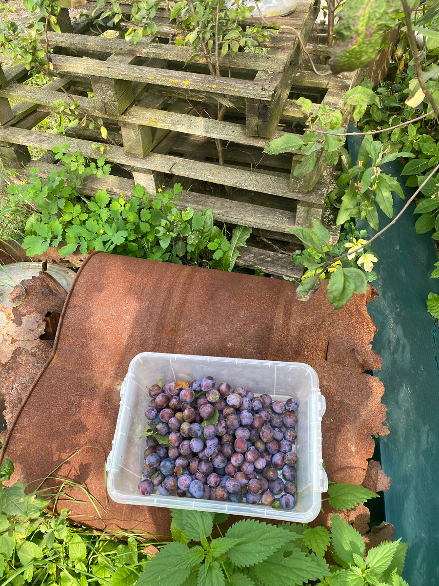 где-то в середине процесса сбора