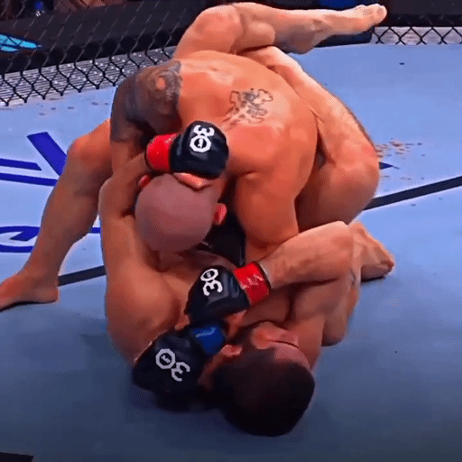 Взято с официального ресурса UFC 