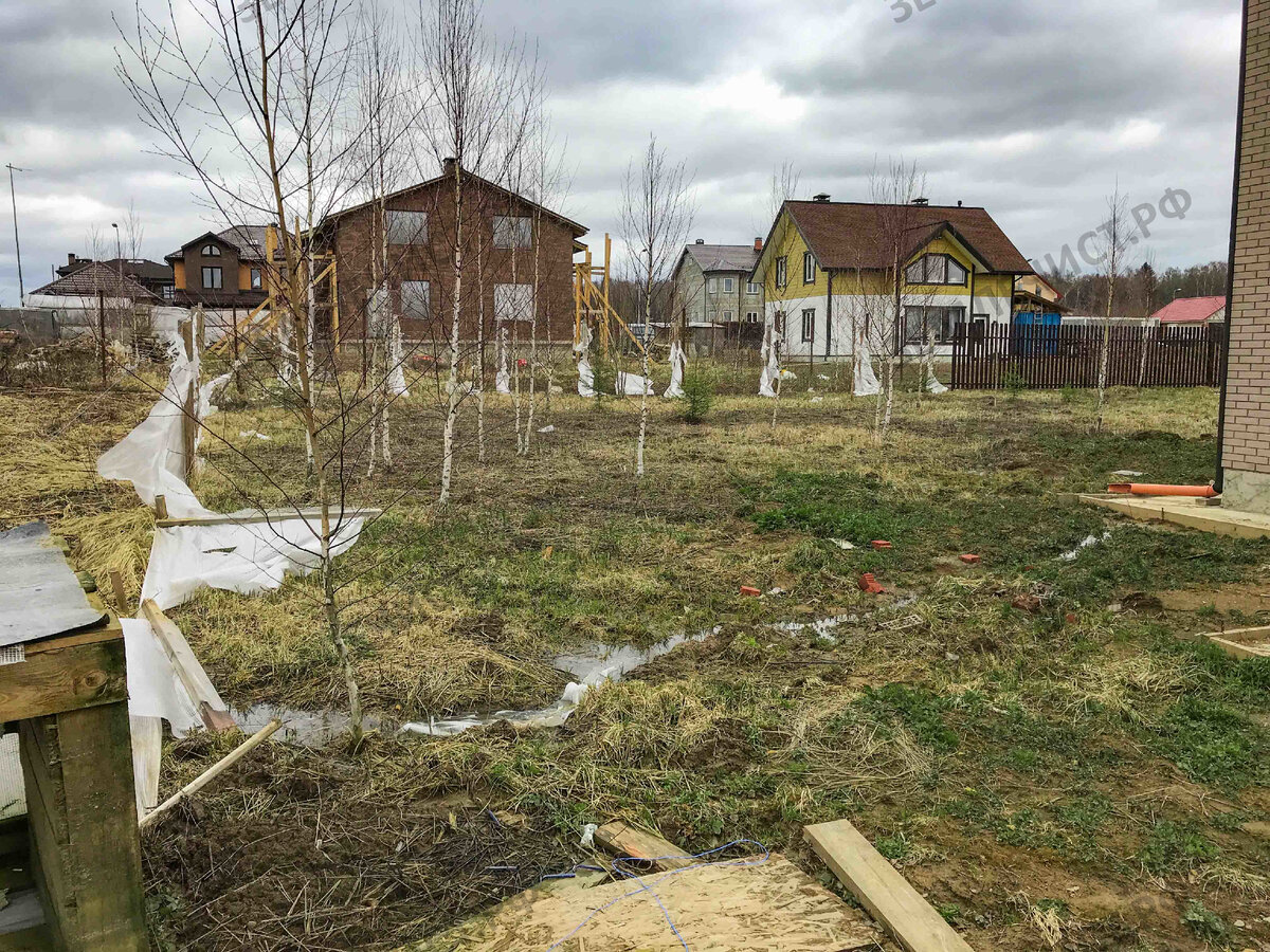 Устройство газона под ключ в Орехово-Зуево | Землечист | Благоустройство |  Дзен