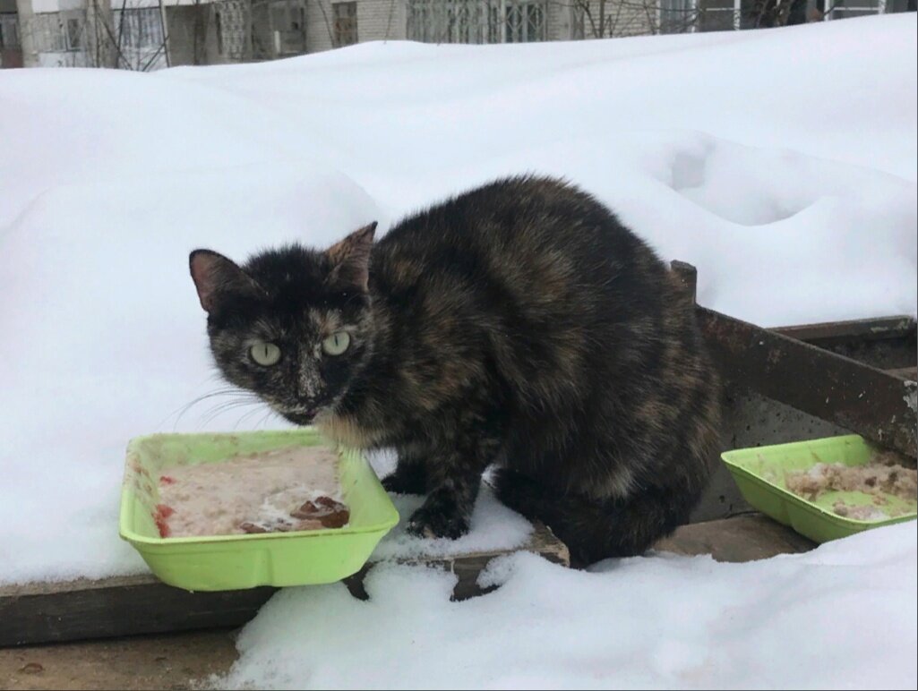 Как самой скромной, Зене всегда доставались остатки