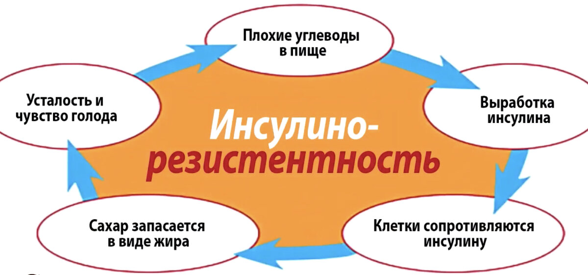 Инсулинорезистентность 
