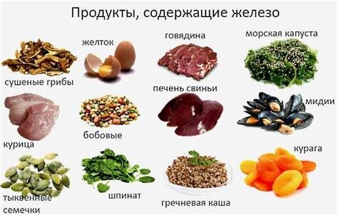 железосодержащие продукты