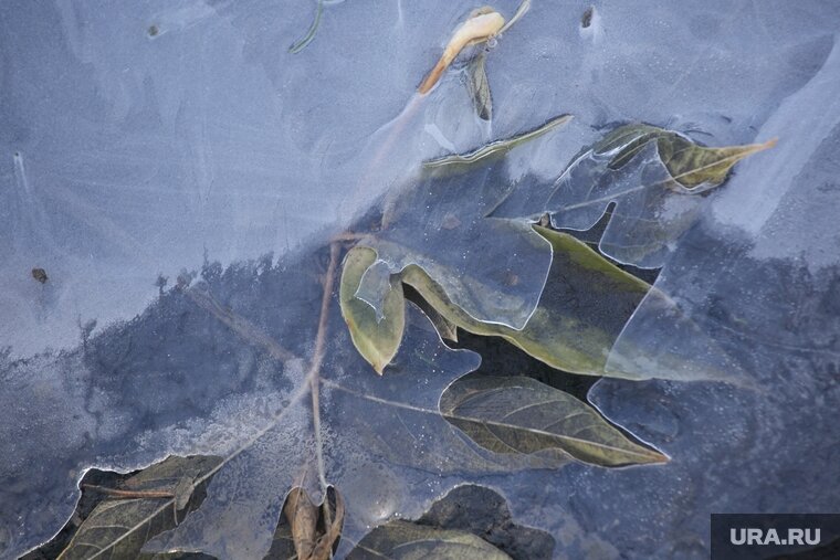    Температура воздуха и на поверхности почвы опустится до минус двух градусов