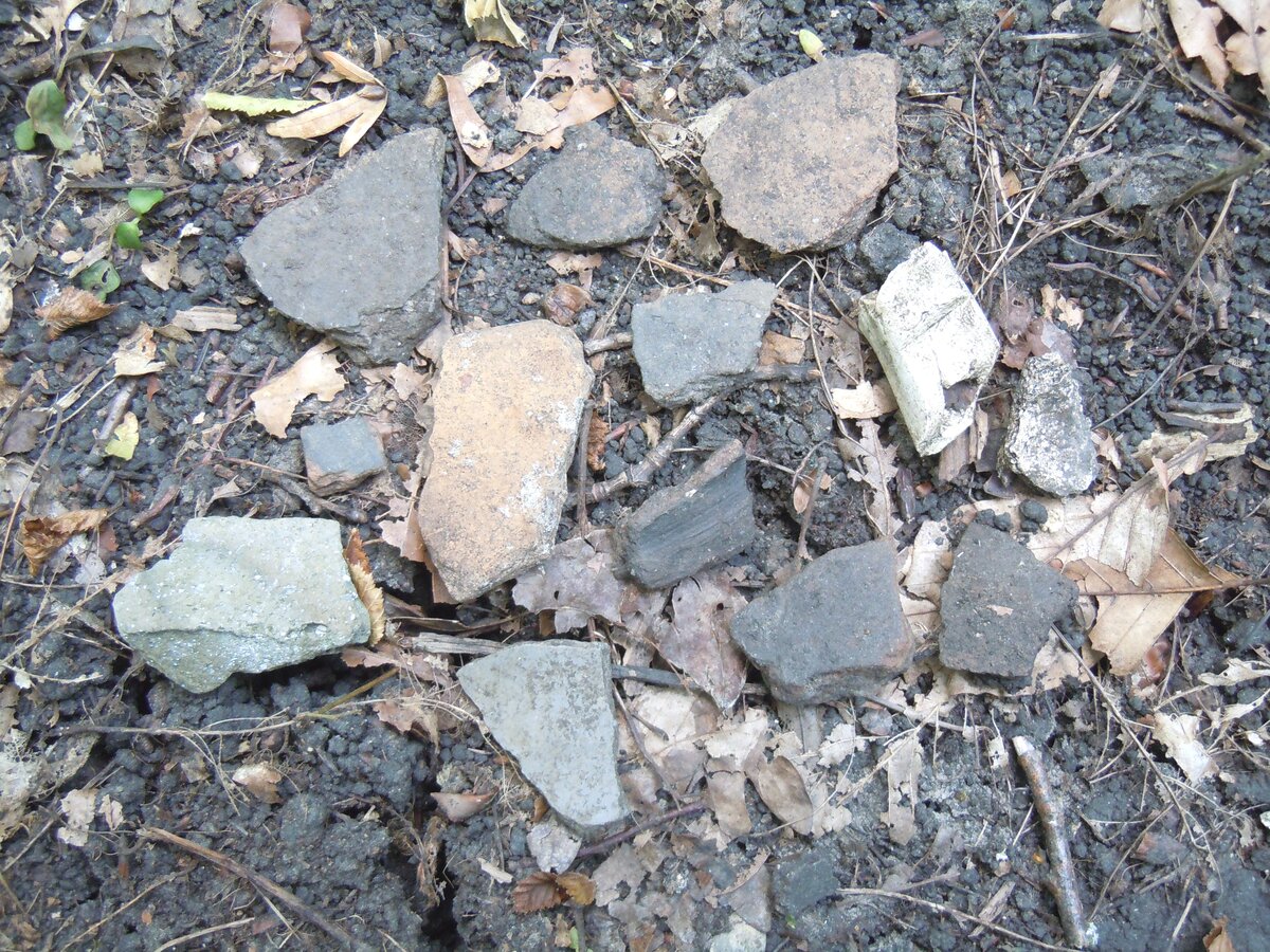 Вот как оправдывают лесорубы хаотичную прокладку ими глубоких, до глины, трелёвочных дорог через леса, поверх старых аккуратных грунтовок, ещё и разрушая при этом древние поселения и могильники разных-56