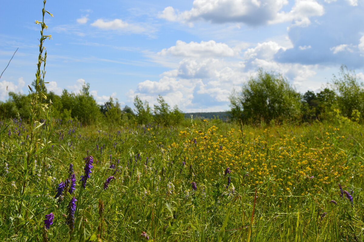 Комфортные двадцать-двадцать пять, но ни капли дождя. Фото автора