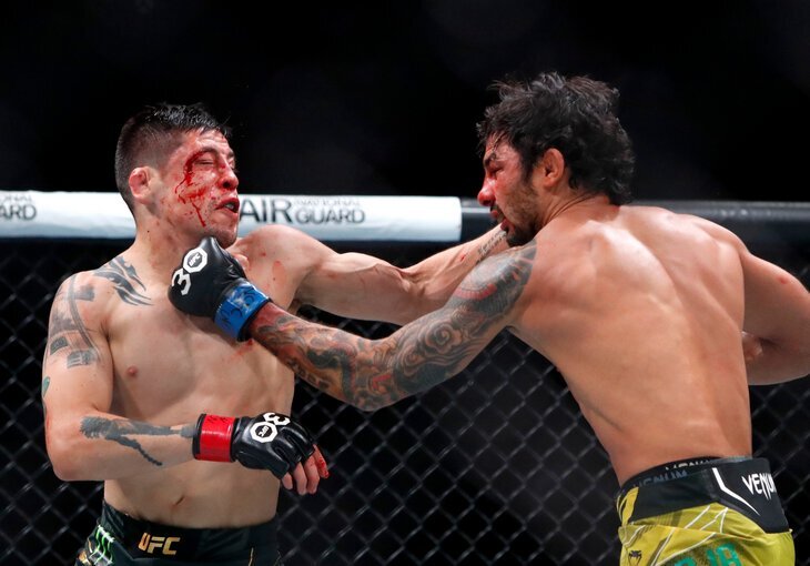 Листайте вправо, чтобы увидеть больше изображений