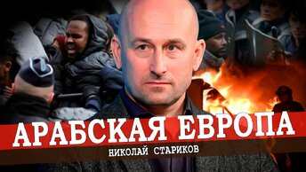 Миграционная политика Европы, или Почему почему полыхает Франция? (Стариков)