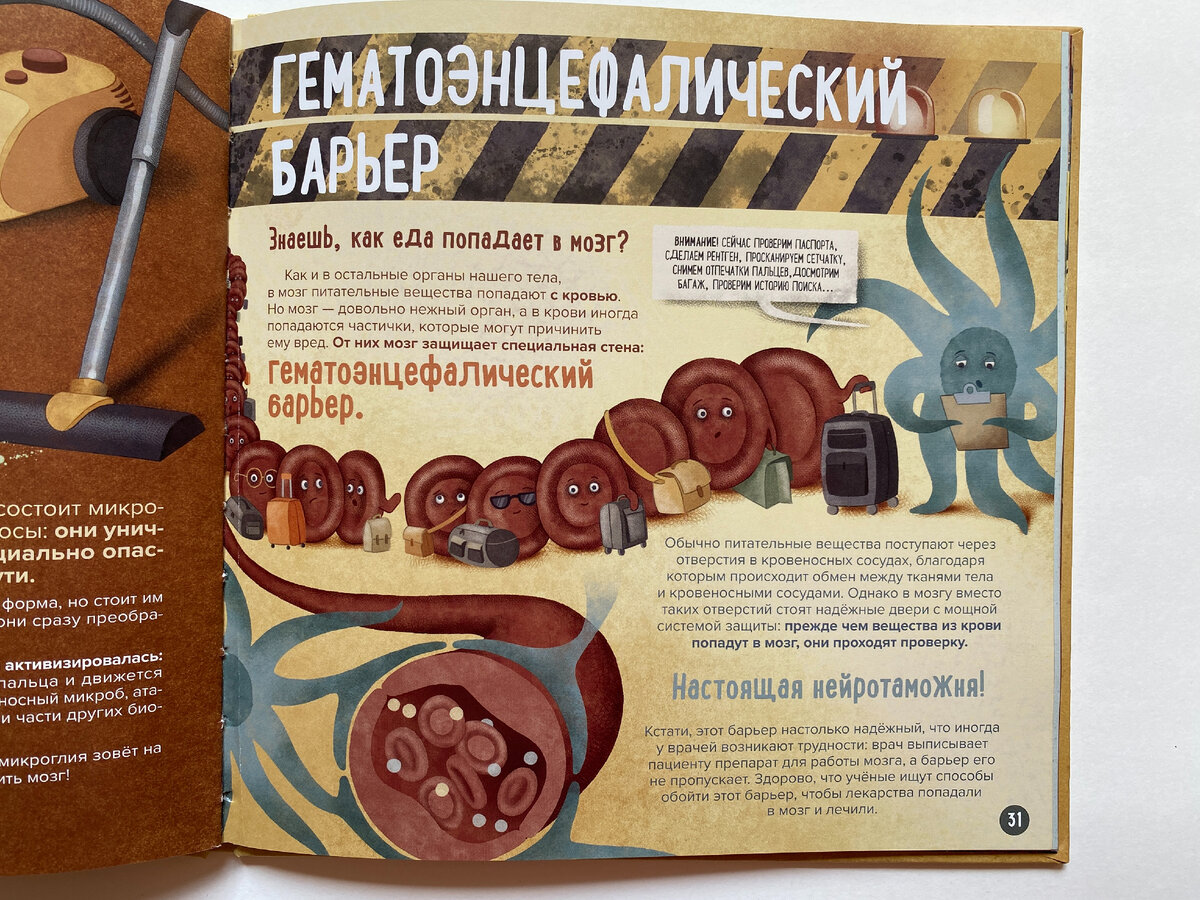 Самое милое в мире изображение гематоэнцефалического барьера. Пабло Барречегурен. Мозг человека. Объясняет доктор Сантьяго Рамон-и-Кахаль (Фолиант, 2023). Иллюстрации Исы Лоурейро. Перевод с испанского П. Казанковой.