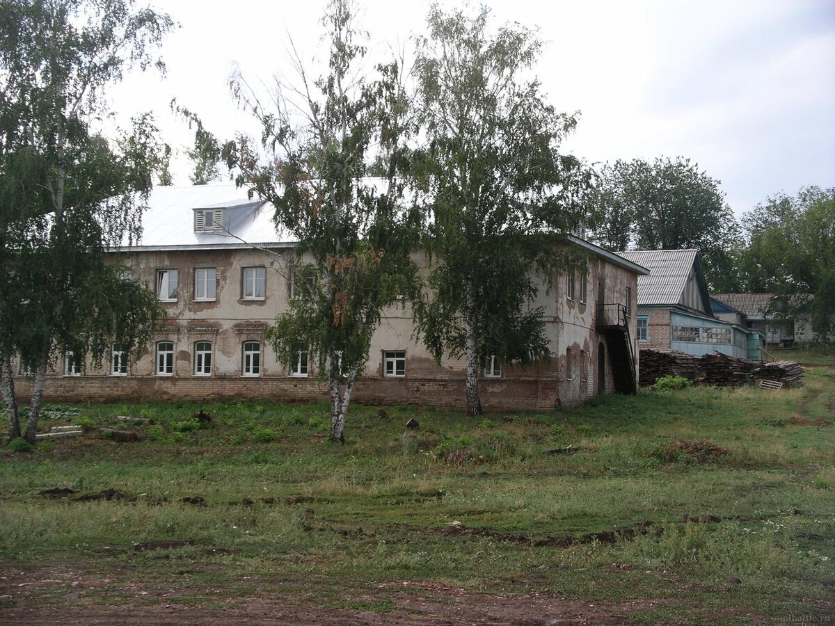 Таллы в Оренбургской области: монастырская стена, передовой колхоз и наглые  козы | Искатели впечатлений | Дзен