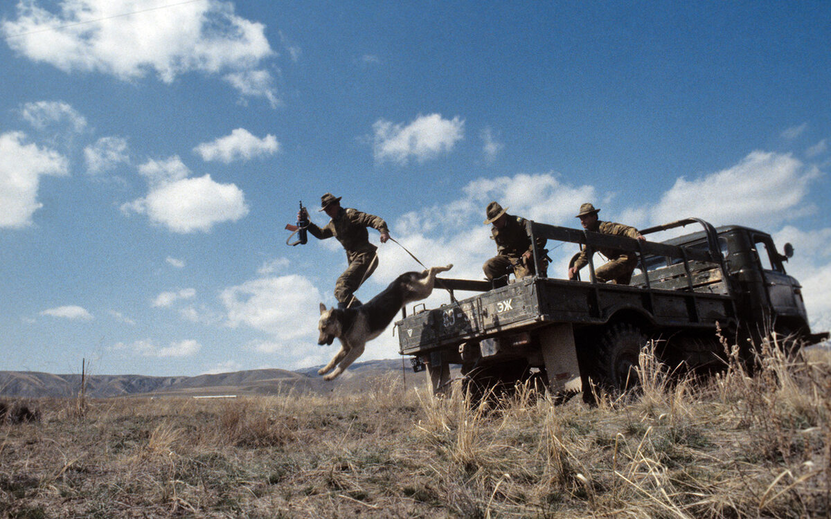 Фото из открытых источников