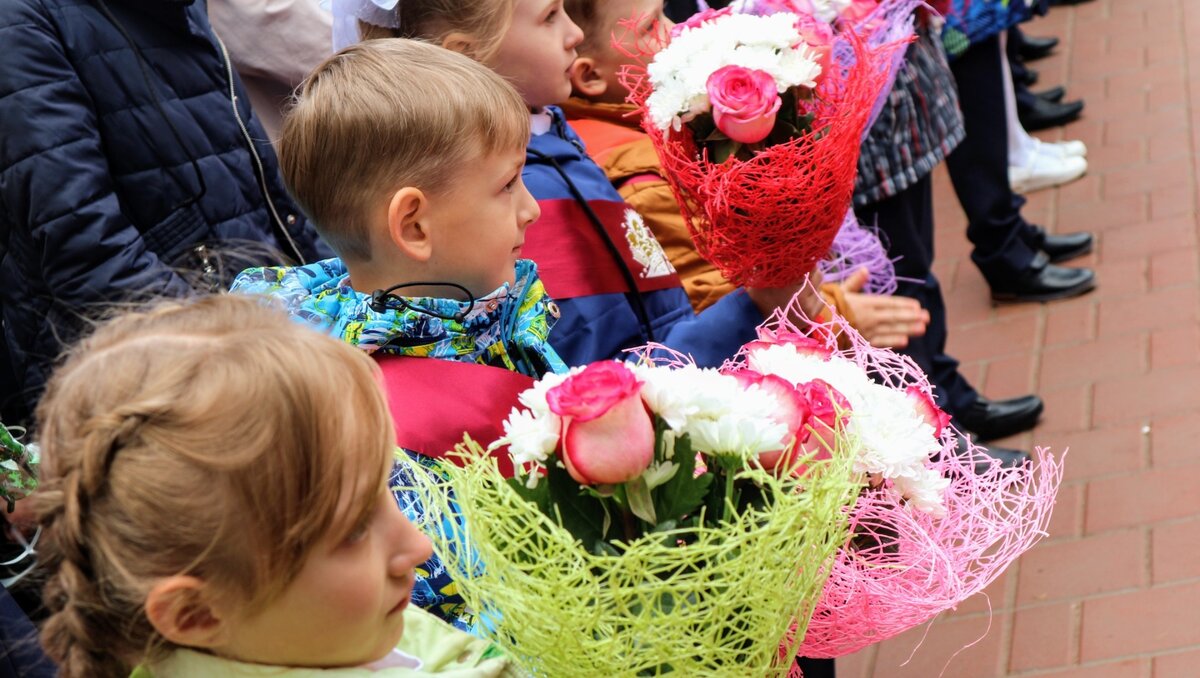     В России, в том числе Ставропольском крае, с 1 сентября 2023 года введут единые общеобразовательные программы в школах. Что изменится в учебном процессе и как теперь будут учиться дети, в материале NewsTracker.