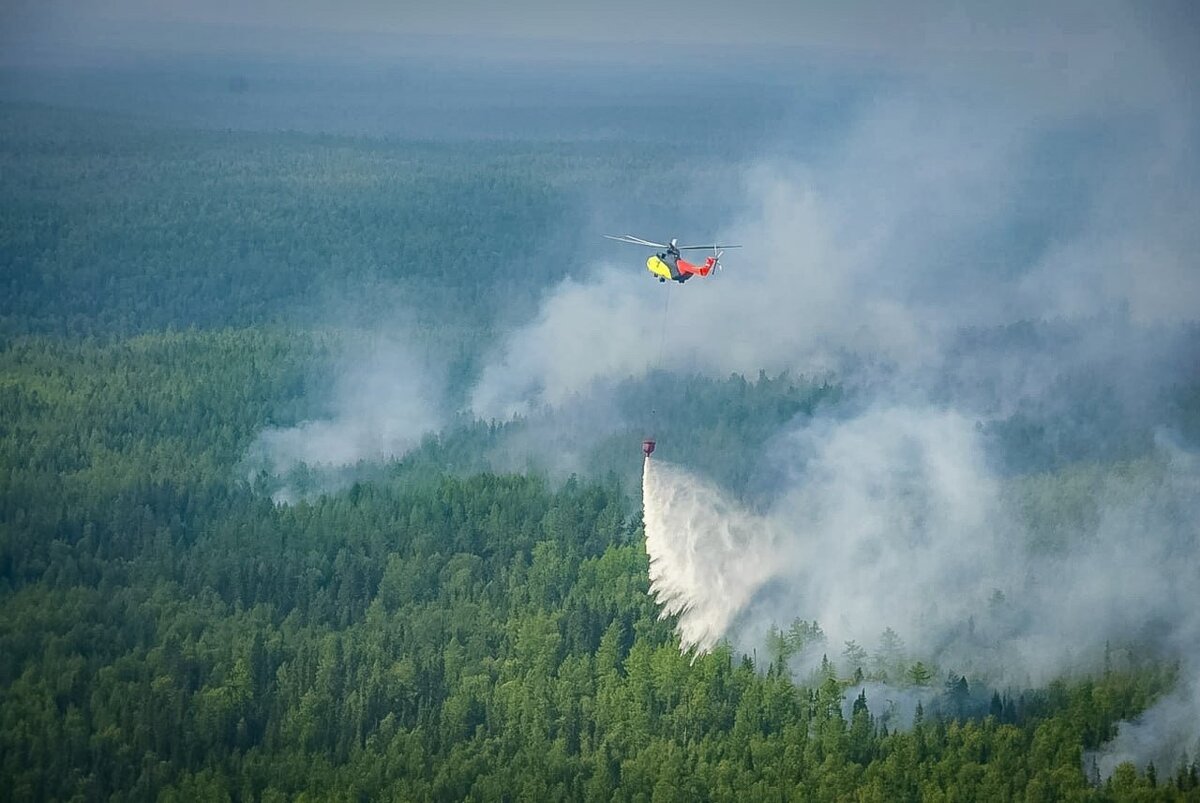    Ликвидировать в первые сутки