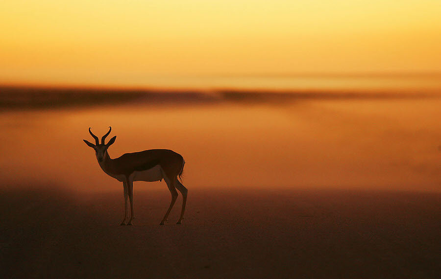 Фото Добрый Человек©