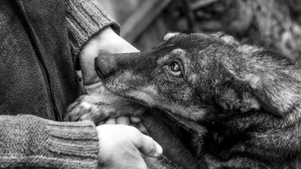 источник фото: sun9-14.userapi.com