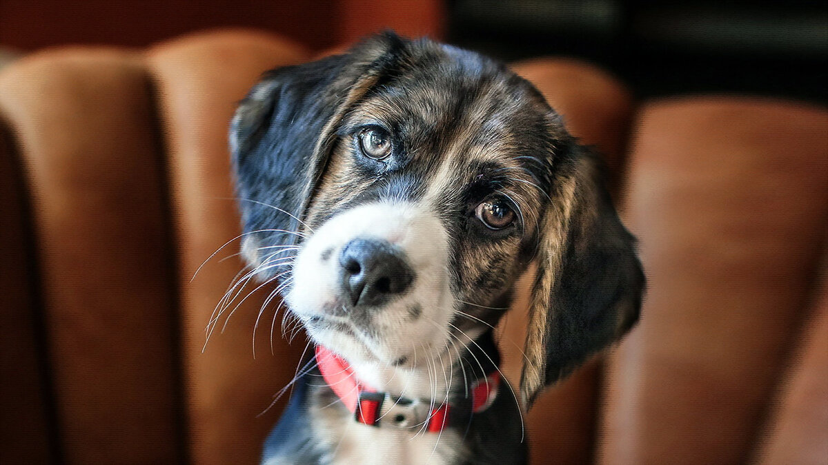 источник фото: krasivosti.pro