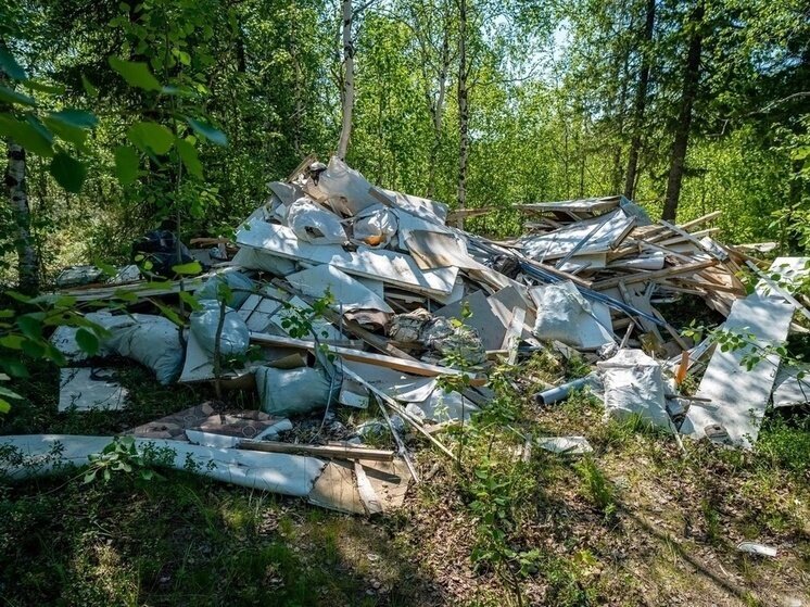 Свалки нет картинки