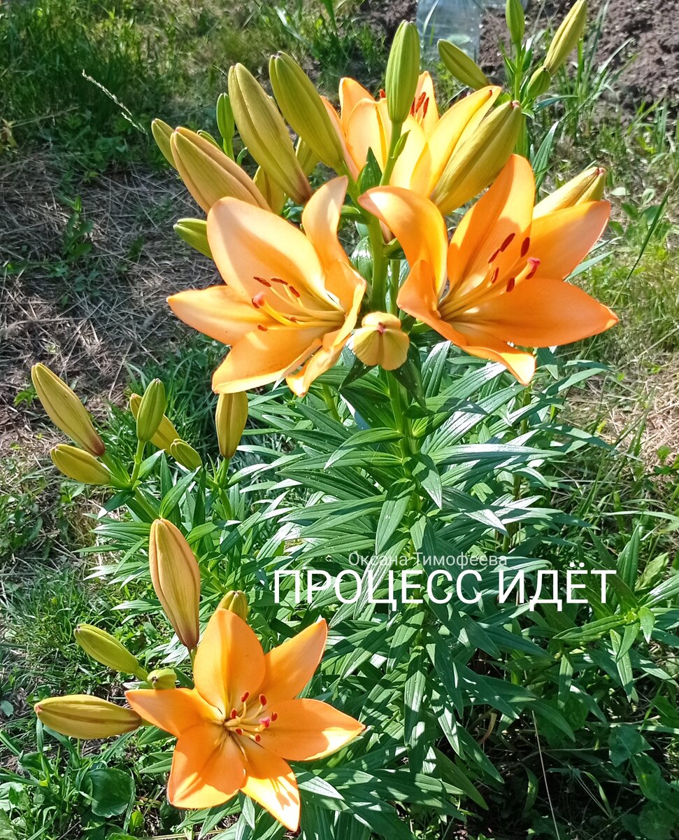 Процесс идёт. 