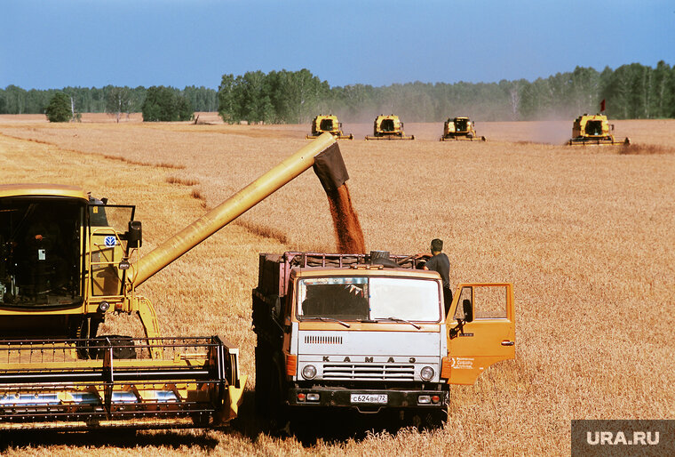    Профессор ВШЭ Максим Братерский уверен, что зерновая сделка не работает