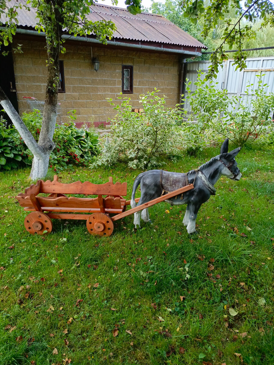 Ослик Василий. Фото не Ваше.