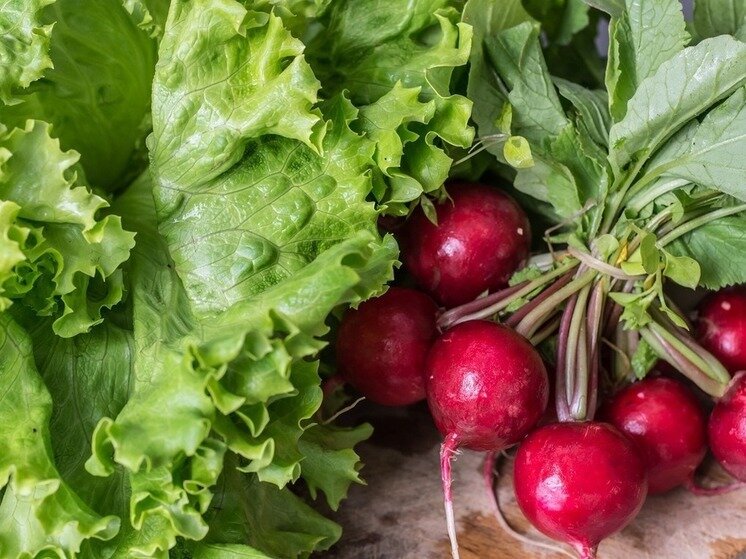     Ингредиенты для окрошки. Фото: pixabay.com