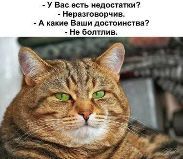 иллюстрация из яндекс картинки.