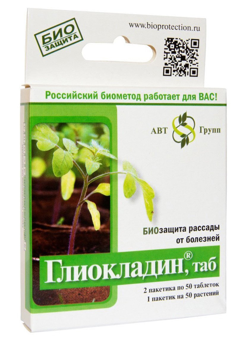 Глиокладин - биоинсектицид для защиты рассады от болезней.