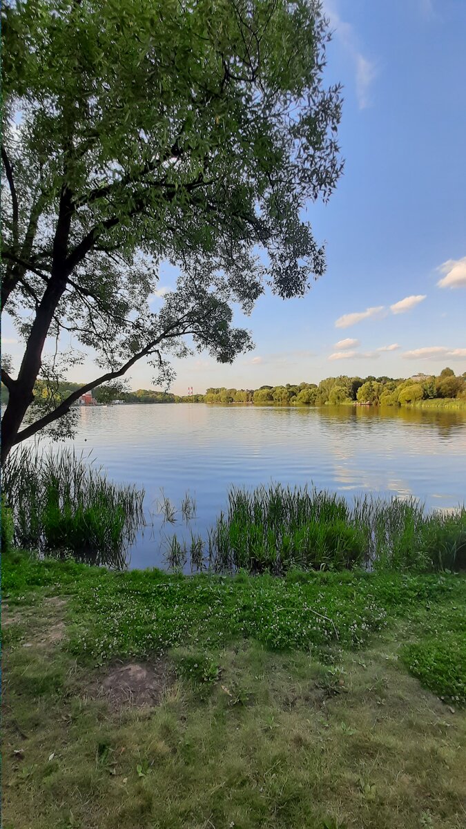 Мещерский пруд - оазис в городской суете