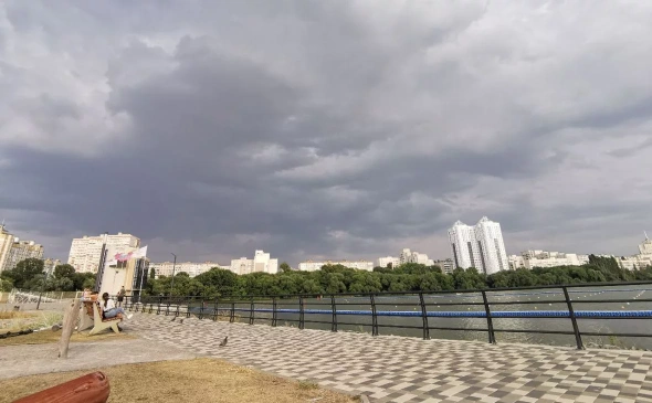 Фото: РБК Черноземье 