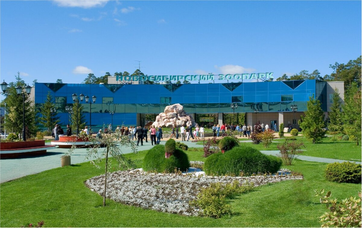 источник фото яндекс-картинки