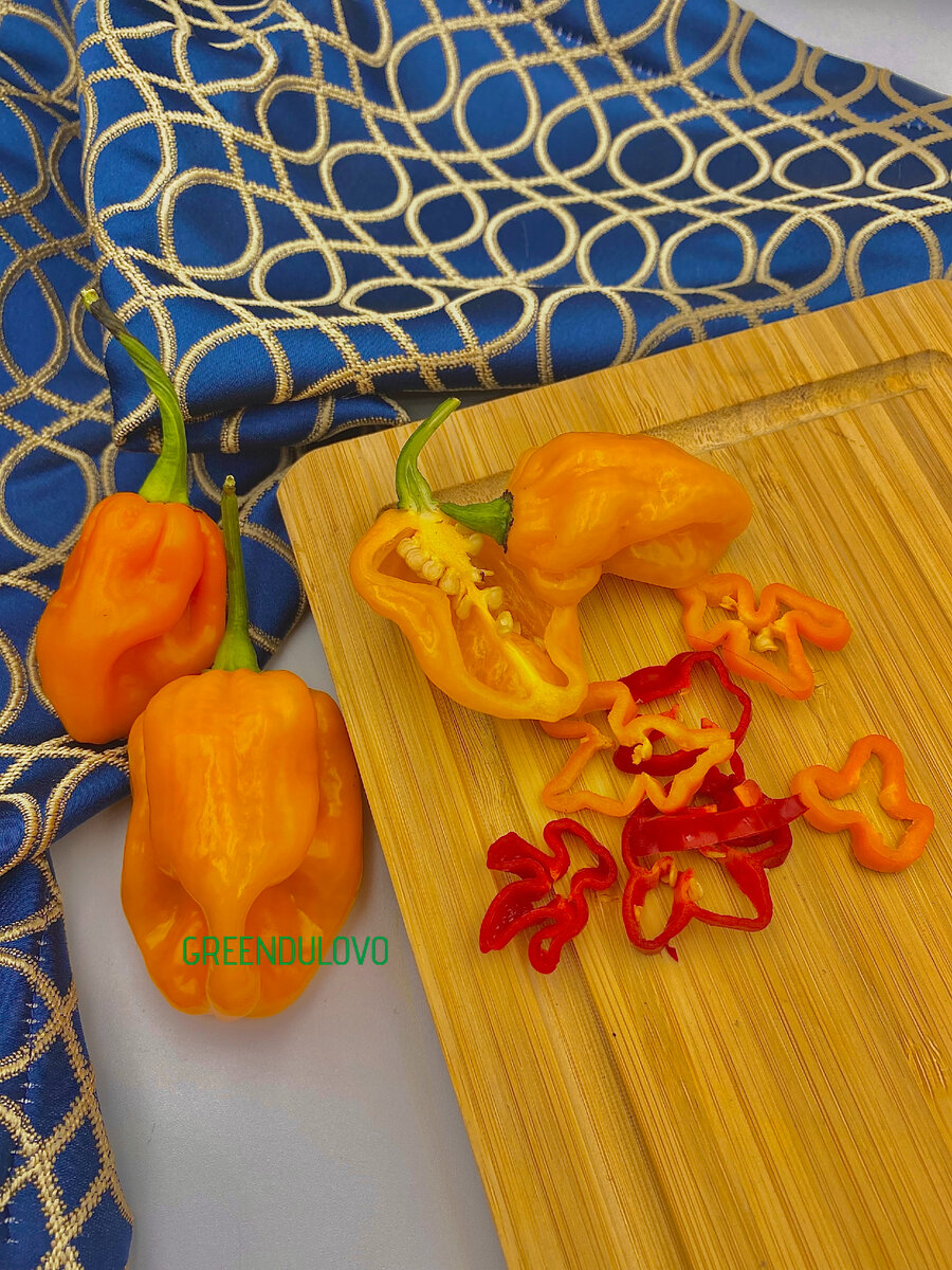 Производство свежего острого перца Хабанеро и Каролины Рипер в России. Хабанеро.РФ 