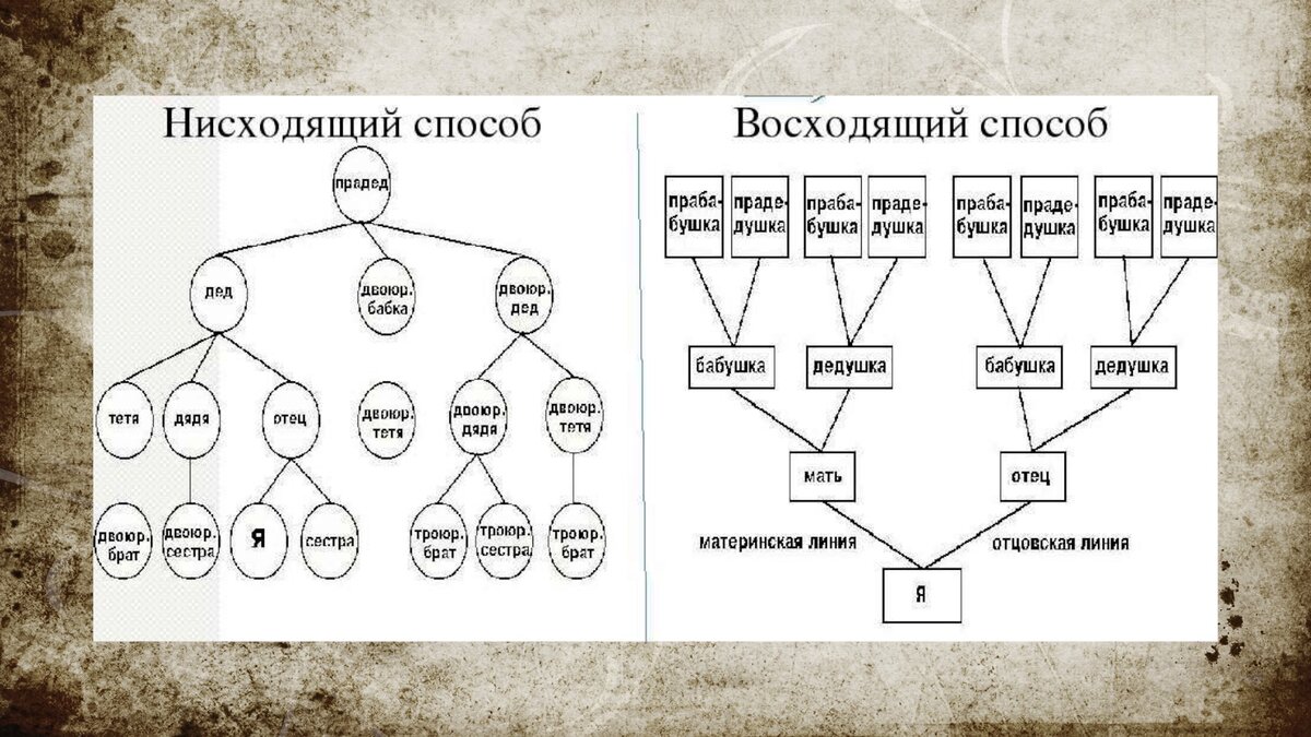 Краткое руководство: 6 простых шагов, чтобы узнать своих предков до 7  колена | История.Интересно! | Дзен