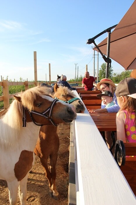 Листайте вправо, чтобы увидеть больше изображений