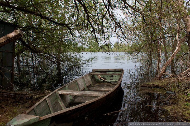 деревня янов чернобыль. новошепеличи чернобыльского района. село новошепеличи чернобыльского района. новошепеличи сталкер. новошепеличи.