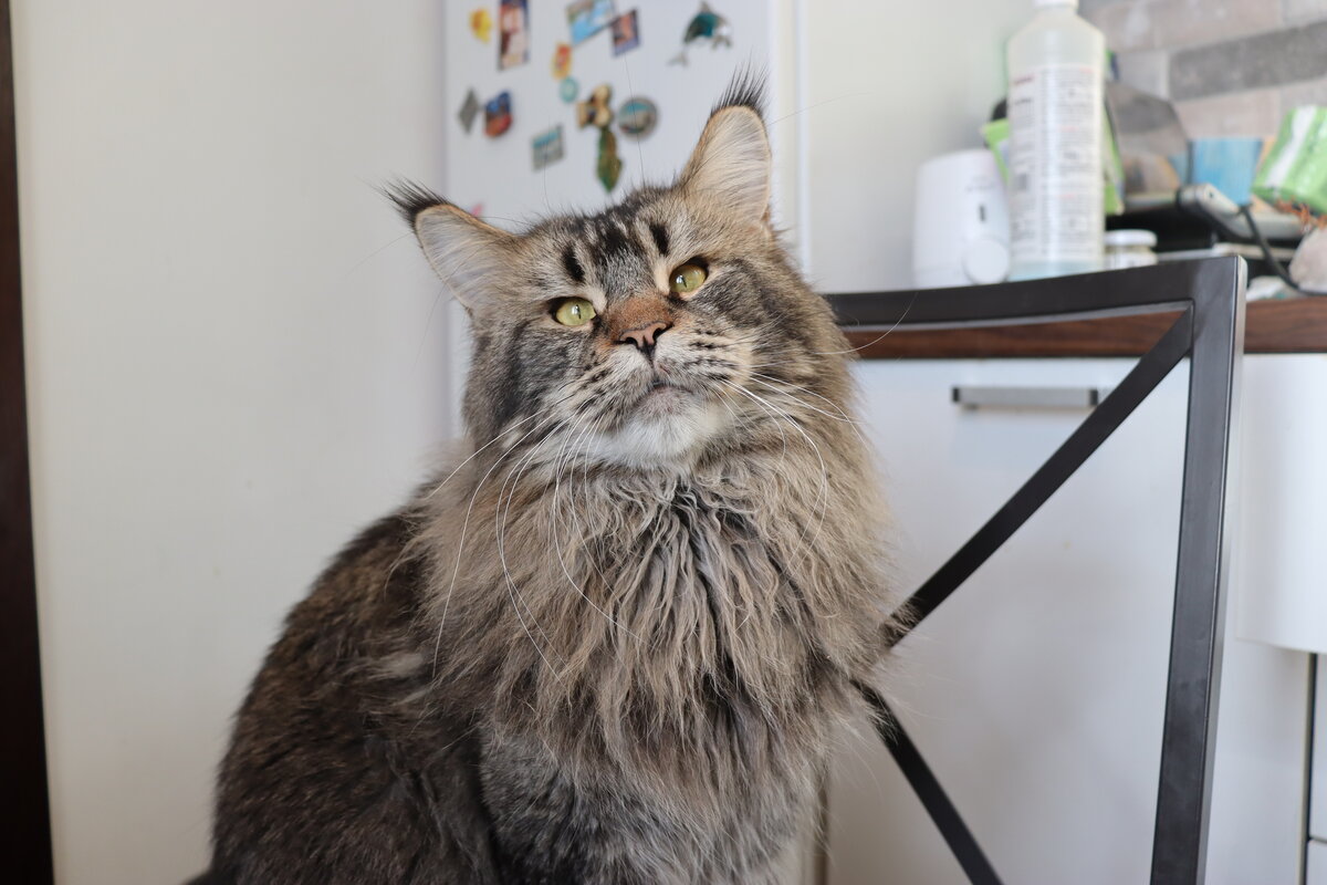 Фото из личного архива.