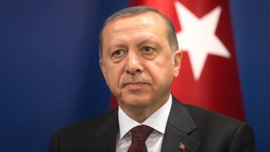    Hürriyet: власти Турции надеются "сократить число врагов" и приобрести друзей Юлия Шелковенко