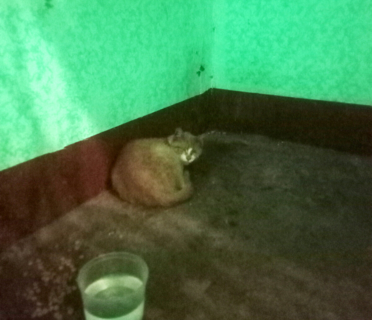 Фото из семейного архива