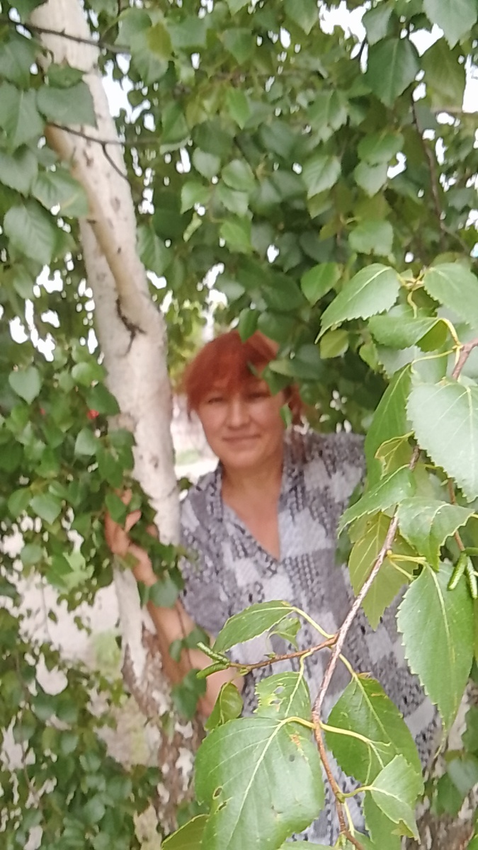 🍃Берёзы..... Русские берёзы🍃