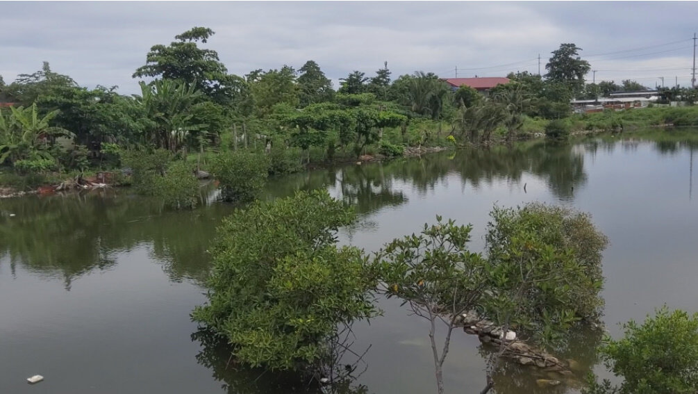 Какая тишина,...